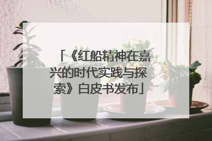 《红船精神在嘉兴的时代实践与探索》白皮书发布