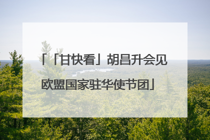 「甘快看」胡昌升会见欧盟国家驻华使节团