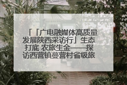 「广电融媒体高质量发展陕西采访行」生态打底 农旅生金——探访西营镇蔓营村省级旅游示范村的振兴密码