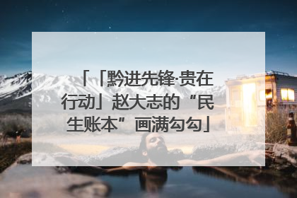 「黔进先锋·贵在行动」赵大志的“民生账本”画满勾勾
