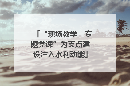 “现场教学＋专题党课”为支点建设注入水利动能