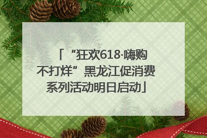 “狂欢618·嗨购不打烊”黑龙江促消费系列活动明日启动