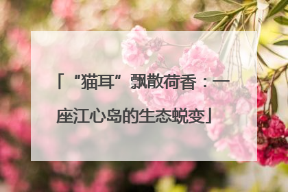 “猫耳”飘散荷香：一座江心岛的生态蜕变