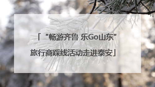 “畅游齐鲁 乐Go山东”旅行商踩线活动走进泰安