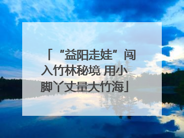 “益阳走娃”闯入竹林秘境 用小脚丫丈量大竹海