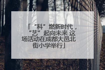 “科”燃新时代，“艺”起向未来 这场活动在成都大邑北街小学举行
