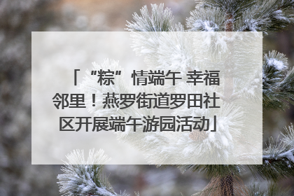“粽”情端午 幸福邻里！燕罗街道罗田社区开展端午游园活动