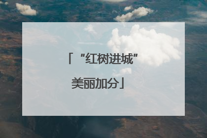 “红树进城” 美丽加分
