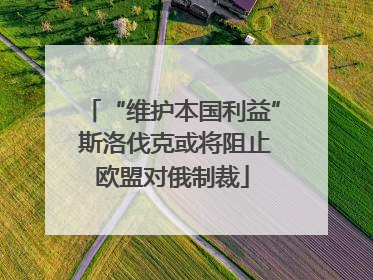 “维护本国利益” 斯洛伐克或将阻止欧盟对俄制裁