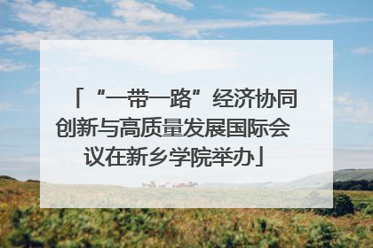 “一带一路”经济协同创新与高质量发展国际会议在新乡学院举办