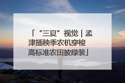 “三夏”视觉｜孟津插秧季农机穿梭 高标准农田披绿装