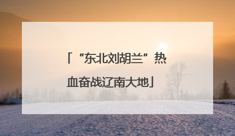 “东北刘胡兰”热血奋战辽南大地