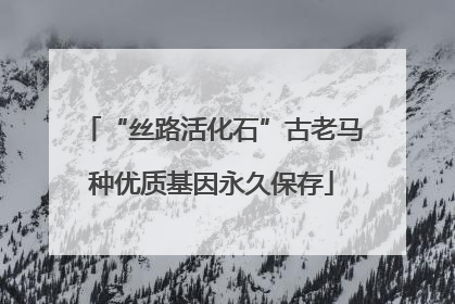 “丝路活化石”古老马种优质基因永久保存