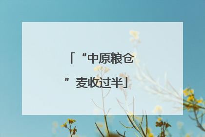 “中原粮仓”麦收过半