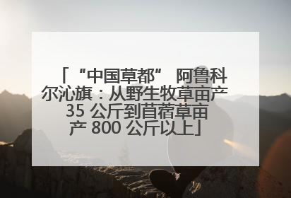 “中国草都” 阿鲁科尔沁旗：从野生牧草亩产 35 公斤到苜蓿草亩产 800 公斤以上
