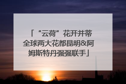 “云荷”花开并蒂 全球两大花都昆明&阿姆斯特丹强强联手
