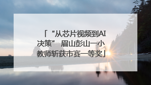 “从芯片视频到AI决策” 眉山彭山一小教师斩获市赛一等奖