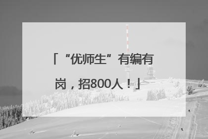 “优师生”有编有岗，招800人！
