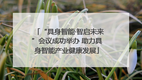 “具身智能·智启未来”会议成功举办 助力具身智能产业健康发展