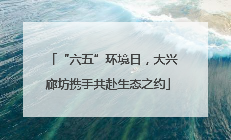 “六五”环境日，大兴廊坊携手共赴生态之约