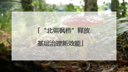 “北疆枫桥”释放基层治理新效能