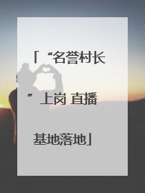 “名誉村长”上岗 直播基地落地