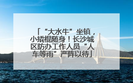 “大水牛”坐镇，小撬棍随身！长沙城区防办工作人员“人车等雨”严阵以待