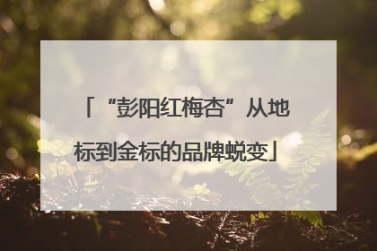 “彭阳红梅杏”从地标到金标的品牌蜕变