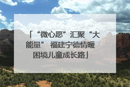 “微心愿”汇聚“大能量” 福建宁德情暖困境儿童成长路