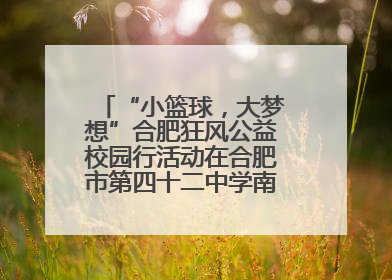 “小篮球，大梦想”合肥狂风公益校园行活动在合肥市第四十二中学南城分校圆满落幕
