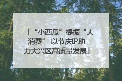 “小西瓜”提振“大消费” 以节庆IP助力大兴区高质量发展