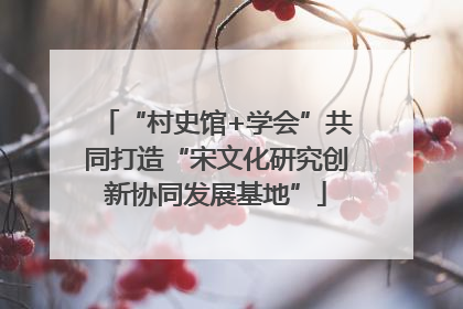 “村史馆+学会”共同打造“宋文化研究创新协同发展基地”