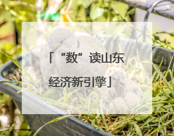 “数”读山东经济新引擎