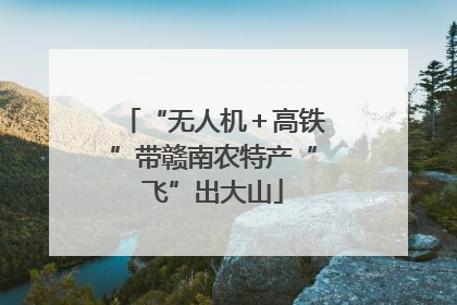 “无人机＋高铁”带赣南农特产“飞”出大山