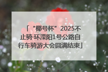 “椰号杯”2025不止骑·环溧阳1号公路自行车骑游大会圆满结束