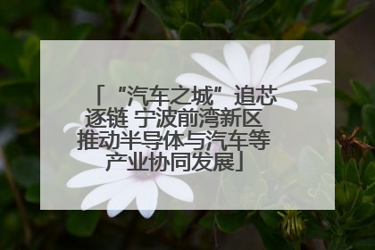 “汽车之城”追芯逐链 宁波前湾新区推动半导体与汽车等产业协同发展