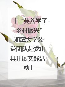 “芙蓉学子·乡村振兴” 湘潭大学公益团队赴龙山县开展实践活动