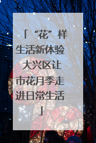 “花”样生活新体验 大兴区让市花月季走进日常生活
