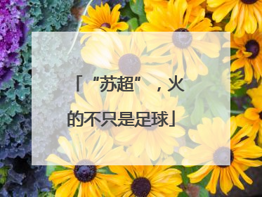 “苏超”，火的不只是足球