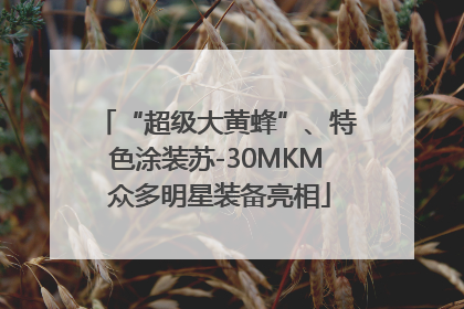 “超级大黄蜂”、特色涂装苏-30MKM 众多明星装备亮相
