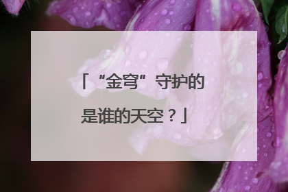 “金穹”守护的是谁的天空？