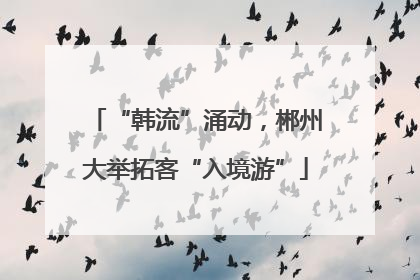 “韩流”涌动，郴州大举拓客“入境游”