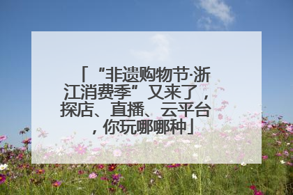 “非遗购物节·浙江消费季”又来了，探店、直播、云平台，你玩哪哪种