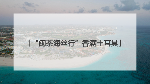 “闽茶海丝行”香满土耳其