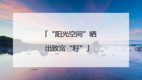 “阳光空间”晒出致富“籽”