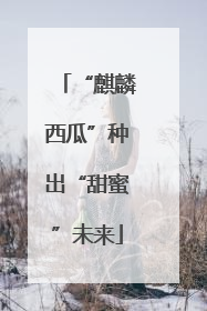 “麒麟西瓜”种出“甜蜜”未来
