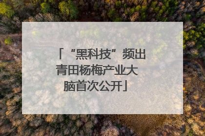 “黑科技”频出 青田杨梅产业大脑首次公开