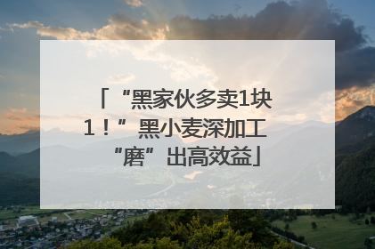“黑家伙多卖1块1！”黑小麦深加工“磨”出高效益
