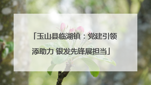 玉山县临湖镇：党建引领添助力 银发先锋展担当