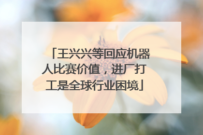 王兴兴等回应机器人比赛价值，进厂打工是全球行业困境